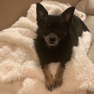 Meet your Posher, Katrina